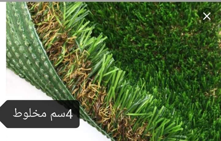 زراعة النخيل